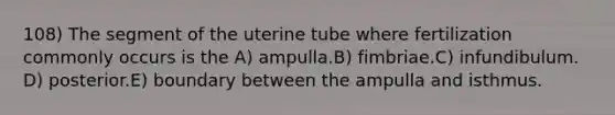 108) The segment of the uterine tube where fertilization commonly occurs is the A) ampulla.B) fimbriae.C) infundibulum. D) posterior.E) boundary between the ampulla and isthmus.