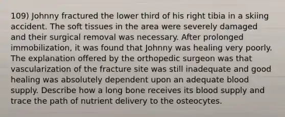 109) Johnny fractured the lower third of his right tibia in a skiing accident. The soft tissues in the area were severely damaged and their surgical removal was necessary. After prolonged immobilization, it was found that Johnny was healing very poorly. The explanation offered by the orthopedic surgeon was that vascularization of the fracture site was still inadequate and good healing was absolutely dependent upon an adequate blood supply. Describe how a long bone receives its blood supply and trace the path of nutrient delivery to the osteocytes.