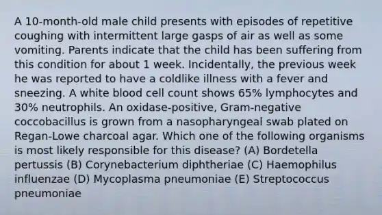 A 10-month-old male child presents with episodes of repetitive coughing with intermittent large gasps of air as well as some vomiting. Parents indicate that the child has been suffering from this condition for about 1 week. Incidentally, the previous week he was reported to have a coldlike illness with a fever and sneezing. A white blood cell count shows 65% lymphocytes and 30% neutrophils. An oxidase-positive, Gram-negative coccobacillus is grown from a nasopharyngeal swab plated on Regan-Lowe charcoal agar. Which one of the following organisms is most likely responsible for this disease? (A) Bordetella pertussis (B) Corynebacterium diphtheriae (C) Haemophilus influenzae (D) Mycoplasma pneumoniae (E) Streptococcus pneumoniae