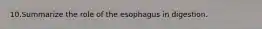 10.Summarize the role of the esophagus in digestion.