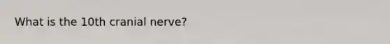 What is the 10th cranial nerve?