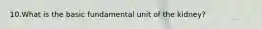 10.What is the basic fundamental unit of the kidney?