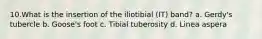 10.What is the insertion of the iliotibial (IT) band? a. Gerdy's tubercle b. Goose's foot c. Tibial tuberosity d. Linea aspera