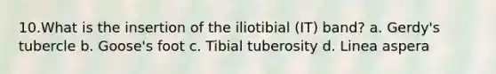 10.What is the insertion of the iliotibial (IT) band? a. Gerdy's tubercle b. Goose's foot c. Tibial tuberosity d. Linea aspera