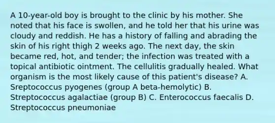 A 10-year-old boy is brought to the clinic by his mother. She noted that his face is swollen, and he told her that his urine was cloudy and reddish. He has a history of falling and abrading the skin of his right thigh 2 weeks ago. The next day, the skin became red, hot, and tender; the infection was treated with a topical antibiotic ointment. The cellulitis gradually healed. What organism is the most likely cause of this patient's disease? A. Sreptococcus pyogenes (group A beta-hemolytic) B. Streptococcus agalactiae (group B) C. Enterococcus faecalis D. Streptococcus pneumoniae