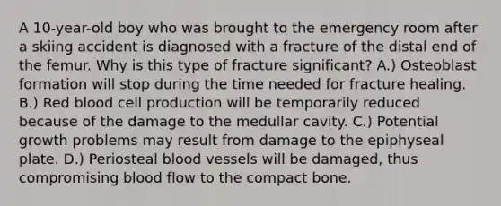 A 10-year-old boy who was brought to the emergency room after a skiing accident is diagnosed with a fracture of the distal end of the femur. Why is this type of fracture significant? A.) Osteoblast formation will stop during the time needed for fracture healing. B.) Red blood cell production will be temporarily reduced because of the damage to the medullar cavity. C.) Potential growth problems may result from damage to the epiphyseal plate. D.) Periosteal blood vessels will be damaged, thus compromising blood flow to the compact bone.