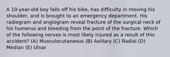 A 10-year-old boy falls off his bike, has difficulty in moving his shoulder, and is brought to an emergency department. His radiogram and angiogram reveal fracture of the surgical neck of his humerus and bleeding from the point of the fracture. Which of the following nerves is most likely injured as a result of this accident? (A) Musculocutaneous (B) Axillary (C) Radial (D) Median (E) Ulnar