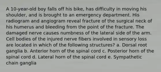 A 10-year-old boy falls off his bike, has difficulty in moving his shoulder, and is brought to an emergency department. His radiogram and angiogram reveal fracture of the surgical neck of his humerus and bleeding from the point of the fracture. The damaged nerve causes numbness of the lateral side of the arm. Cell bodies of the injured nerve fibers involved in sensory loss are located in which of the following structures? a. Dorsal root ganglia b. Anterior horn of the spinal cord c. Posterior horn of the spinal cord d. Lateral horn of the spinal cord e. Sympathetic chain ganglia