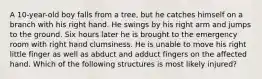 A 10-year-old boy falls from a tree, but he catches himself on a branch with his right hand. He swings by his right arm and jumps to the ground. Six hours later he is brought to the emergency room with right hand clumsiness. He is unable to move his right little finger as well as abduct and adduct fingers on the affected hand. Which of the following structures is most likely injured?