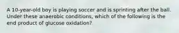 A 10-year-old boy is playing soccer and is sprinting after the ball. Under these anaerobic conditions, which of the following is the end product of glucose oxidation?