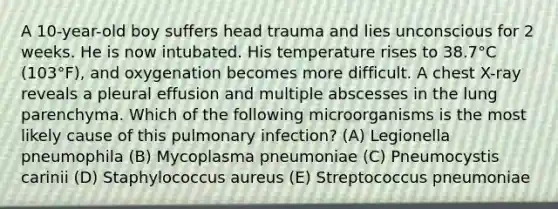 A 10-year-old boy suffers head trauma and lies unconscious for 2 weeks. He is now intubated. His temperature rises to 38.7°C (103°F), and oxygenation becomes more difficult. A chest X-ray reveals a pleural effusion and multiple abscesses in the lung parenchyma. Which of the following microorganisms is the most likely cause of this pulmonary infection? (A) Legionella pneumophila (B) Mycoplasma pneumoniae (C) Pneumocystis carinii (D) Staphylococcus aureus (E) Streptococcus pneumoniae