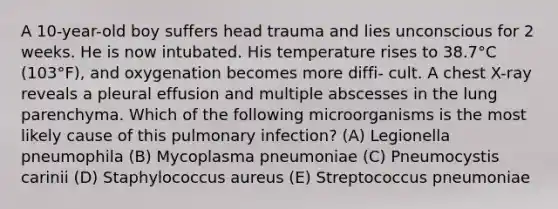 A 10-year-old boy suffers head trauma and lies unconscious for 2 weeks. He is now intubated. His temperature rises to 38.7°C (103°F), and oxygenation becomes more diffi- cult. A chest X-ray reveals a pleural effusion and multiple abscesses in the lung parenchyma. Which of the following microorganisms is the most likely cause of this pulmonary infection? (A) Legionella pneumophila (B) Mycoplasma pneumoniae (C) Pneumocystis carinii (D) Staphylococcus aureus (E) Streptococcus pneumoniae