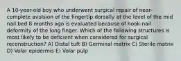 A 10-year-old boy who underwent surgical repair of near-complete avulsion of the fingertip dorsally at the level of the mid nail bed 8 months ago is evaluated because of hook-nail deformity of the long finger. Which of the following structures is most likely to be deficient when considered for surgical reconstruction? A) Distal tuft B) Germinal matrix C) Sterile matrix D) Volar epidermis E) Volar pulp