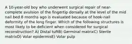 A 10-year-old boy who underwent surgical repair of near-complete avulsion of the fingertip dorsally at the level of the mid nail bed 8 months ago is evaluated because of hook-nail deformity of the long finger. Which of the following structures is most likely to be deficient when considered for surgical reconstruction? A) Distal tuftB) Germinal matrixC) Sterile matrixD) Volar epidermisE) Volar pulp