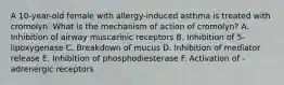 A 10-year-old female with allergy-induced asthma is treated with cromolyn. What is the mechanism of action of cromolyn? A. Inhibition of airway muscarinic receptors B. Inhibition of 5-lipoxygenase C. Breakdown of mucus D. Inhibition of mediator release E. Inhibition of phosphodiesterase F. Activation of -adrenergic receptors