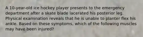 A 10-year-old ice hockey player presents to the emergency department after a skate blade lacerated his posterior leg. Physical examination reveals that he is unable to planter flex his ankle. Based on these symptoms, which of the following muscles may have been injured?