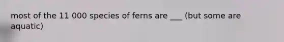 most of the 11 000 species of ferns are ___ (but some are aquatic)