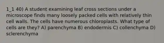 1_1 40) A student examining leaf cross sections under a microscope finds many loosely packed cells with relatively thin cell walls. The cells have numerous chloroplasts. What type of cells are they? A) parenchyma B) endodermis C) collenchyma D) sclerenchyma