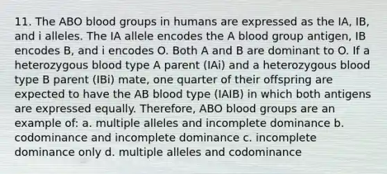 11. The ABO <a href='https://www.questionai.com/knowledge/kYZPOX2Y3u-blood-groups' class='anchor-knowledge'>blood groups</a> in humans are expressed as the IA, IB, and i alleles. The IA allele encodes the A blood group antigen, IB encodes B, and i encodes O. Both A and B are dominant to O. If a heterozygous blood type A parent (IAi) and a heterozygous blood type B parent (IBi) mate, one quarter of their offspring are expected to have the AB blood type (IAIB) in which both antigens are expressed equally. Therefore, ABO blood groups are an example of: a. multiple alleles and incomplete dominance b. codominance and incomplete dominance c. incomplete dominance only d. multiple alleles and codominance