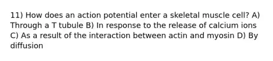 11) How does an action potential enter a skeletal muscle cell? A) Through a T tubule B) In response to the release of calcium ions C) As a result of the interaction between actin and myosin D) By diffusion