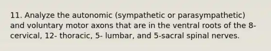 11. Analyze the autonomic (sympathetic or parasympathetic) and voluntary motor axons that are in the ventral roots of the 8-cervical, 12- thoracic, 5- lumbar, and 5-sacral spinal nerves.