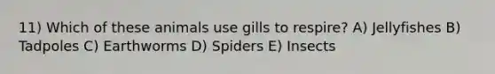 11) Which of these animals use gills to respire? A) Jellyfishes B) Tadpoles C) Earthworms D) Spiders E) Insects