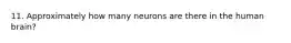 11. Approximately how many neurons are there in the human brain?