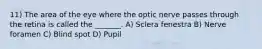 11) The area of the eye where the optic nerve passes through the retina is called the _______. A) Sclera fenestra B) Nerve foramen C) Blind spot D) Pupil