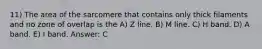 11) The area of the sarcomere that contains only thick filaments and no zone of overlap is the A) Z line. B) M line. C) H band. D) A band. E) I band. Answer: C