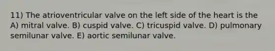 11) The atrioventricular valve on the left side of the heart is the A) mitral valve. B) cuspid valve. C) tricuspid valve. D) pulmonary semilunar valve. E) aortic semilunar valve.