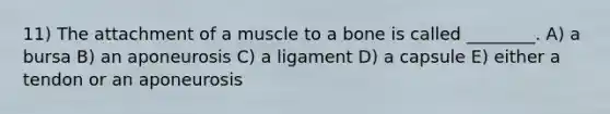 11) The attachment of a muscle to a bone is called ________. A) a bursa B) an aponeurosis C) a ligament D) a capsule E) either a tendon or an aponeurosis