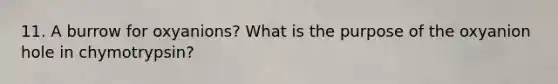 11. A burrow for oxyanions? What is the purpose of the oxyanion hole in chymotrypsin?