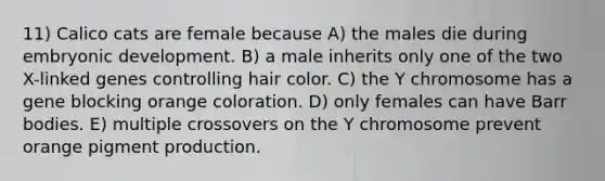 11) Calico cats are female because A) the males die during embryonic development. B) a male inherits only one of the two X-linked genes controlling hair color. C) the Y chromosome has a gene blocking orange coloration. D) only females can have Barr bodies. E) multiple crossovers on the Y chromosome prevent orange pigment production.