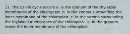 11. The Calvin cycle occurs a. in the granum of the thylakoid membranes of the chloroplast. b. in the stroma surrounding the inner membrane of the chloroplast. c. in the stroma surrounding the thylakoid membranes of the chloroplast. d. in the granum inside the inner membrane of the chloroplast.