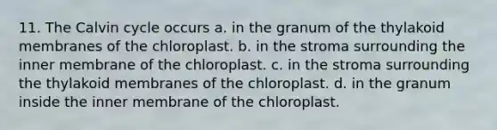 11. The Calvin cycle occurs a. in the granum of the thylakoid membranes of the chloroplast. b. in the stroma surrounding the inner membrane of the chloroplast. c. in the stroma surrounding the thylakoid membranes of the chloroplast. d. in the granum inside the inner membrane of the chloroplast.