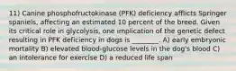 11) Canine phosphofructokinase (PFK) deficiency afflicts Springer spaniels, affecting an estimated 10 percent of the breed. Given its critical role in glycolysis, one implication of the genetic defect resulting in PFK deficiency in dogs is ________. A) early embryonic mortality B) elevated blood-glucose levels in the dog's blood C) an intolerance for exercise D) a reduced life span