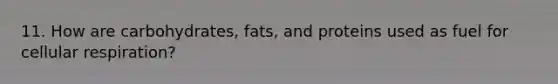 11. How are carbohydrates, fats, and proteins used as fuel for cellular respiration?