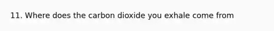 11. Where does the carbon dioxide you exhale come from