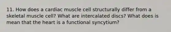 11. How does a cardiac muscle cell structurally differ from a skeletal muscle cell? What are intercalated discs? What does is mean that the heart is a functional syncytium?