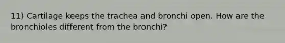 11) Cartilage keeps the trachea and bronchi open. How are the bronchioles different from the bronchi?