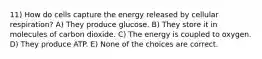 11) How do cells capture the energy released by cellular respiration? A) They produce glucose. B) They store it in molecules of carbon dioxide. C) The energy is coupled to oxygen. D) They produce ATP. E) None of the choices are correct.