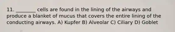 11. ________ cells are found in the lining of the airways and produce a blanket of mucus that covers the entire lining of the conducting airways. A) Kupfer B) Alveolar C) Ciliary D) Goblet