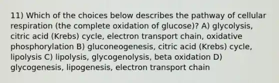 11) Which of the choices below describes the pathway of cellular respiration (the complete oxidation of glucose)? A) glycolysis, citric acid (Krebs) cycle, electron transport chain, oxidative phosphorylation B) gluconeogenesis, citric acid (Krebs) cycle, lipolysis C) lipolysis, glycogenolysis, beta oxidation D) glycogenesis, lipogenesis, electron transport chain