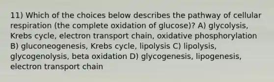 11) Which of the choices below describes the pathway of cellular respiration (the complete oxidation of glucose)? A) glycolysis, Krebs cycle, electron transport chain, oxidative phosphorylation B) gluconeogenesis, Krebs cycle, lipolysis C) lipolysis, glycogenolysis, beta oxidation D) glycogenesis, lipogenesis, electron transport chain