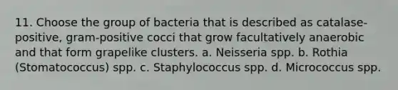 11. Choose the group of bacteria that is described as catalase-positive, gram-positive cocci that grow facultatively anaerobic and that form grapelike clusters. a. Neisseria spp. b. Rothia (Stomatococcus) spp. c. Staphylococcus spp. d. Micrococcus spp.