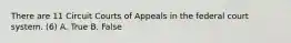 There are 11 Circuit Courts of Appeals in the federal court system. (6) A. True B. False