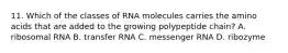 11. Which of the classes of RNA molecules carries the amino acids that are added to the growing polypeptide chain? A. ribosomal RNA B. transfer RNA C. messenger RNA D. ribozyme