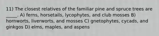 11) The closest relatives of the familiar pine and spruce trees are _____. A) ferns, horsetails, lycophytes, and club mosses B) hornworts, liverworts, and mosses C) gnetophytes, cycads, and ginkgos D) elms, maples, and aspens