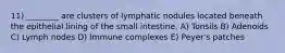 11) ________ are clusters of lymphatic nodules located beneath the epithelial lining of the small intestine. A) Tonsils B) Adenoids C) Lymph nodes D) Immune complexes E) Peyer's patches