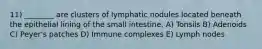 11) ________ are clusters of lymphatic nodules located beneath the epithelial lining of the small intestine. A) Tonsils B) Adenoids C) Peyer's patches D) Immune complexes E) Lymph nodes